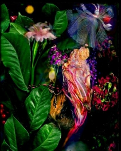Image #2 of 12: 